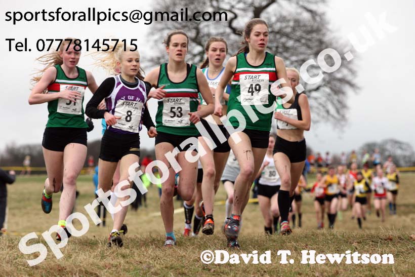 Junior womens 2018 Northern Cross Country Champs., Harewood House, Leeds. Photo: David T. Hewitson/Sports for All Pics